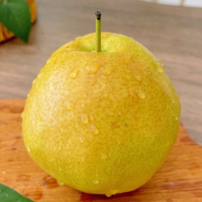Fresh Premium 玉の貴妃 Pears – Crisp, Juicy & Naturally Sweet (10ct/3Kg)