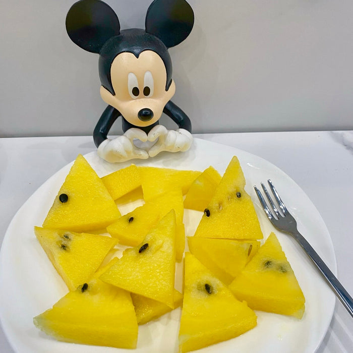 Taiwan Premium Yellow Flesh Mini Watermelon 🍉  4ct / Box ✨