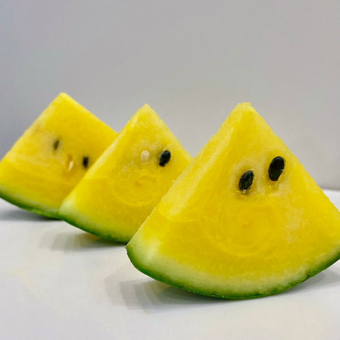 Taiwan Premium Yellow Flesh Mini Watermelon 🍉  4ct / Box ✨