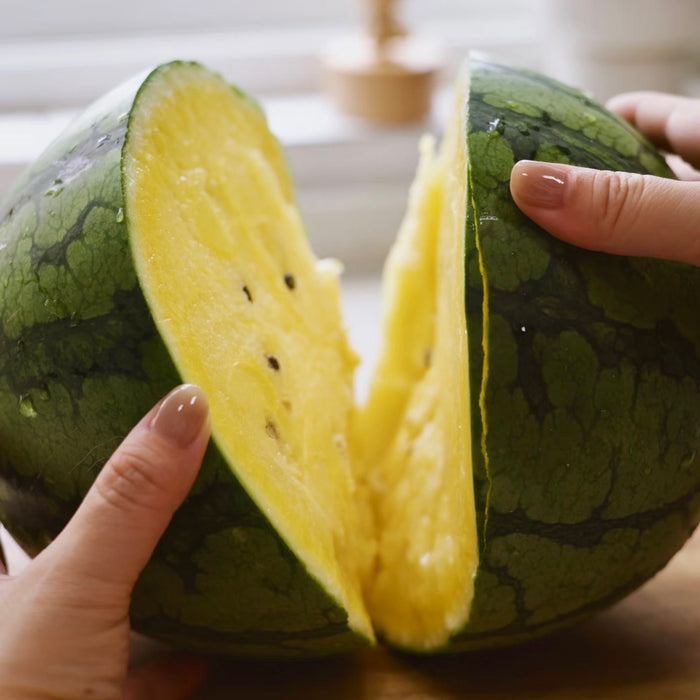Taiwan Premium Yellow Flesh Mini Watermelon 🍉  4ct / Box ✨
