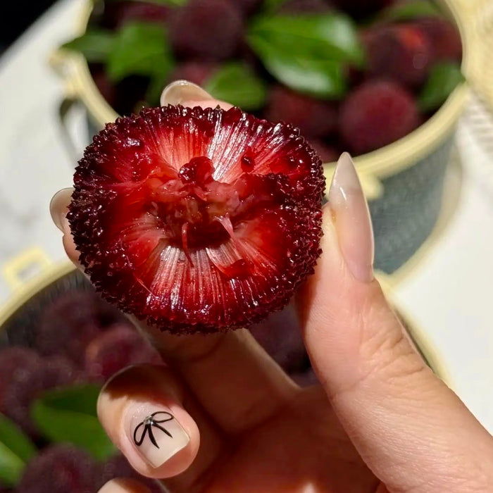 Baby Berry – Premium Yunnan Waxberry 🍒✨  (18ct/Tray)