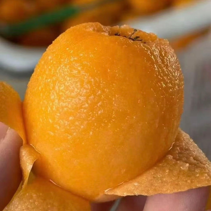 Premium MiYi Loquat – Sun-Kissed Sweetness from Panzhihua, Sichuan ☀️🍊