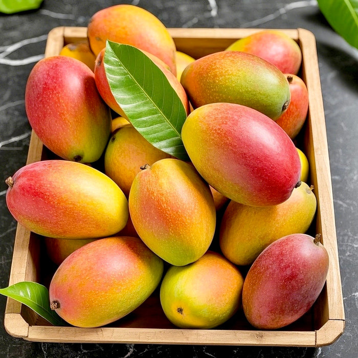 🥭✨ Summer Must-Try • Premium Hainan Guifei Mango 🌴☀️