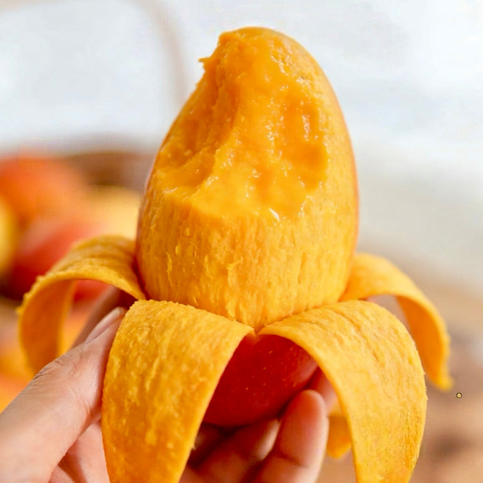 🥭✨ Summer Must-Try • Premium Hainan Guifei Mango 🌴☀️