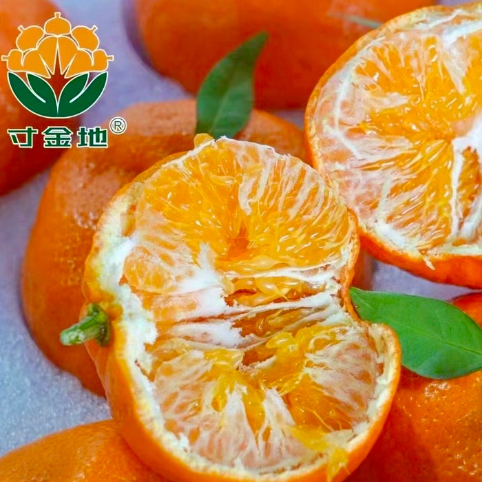 🍊✨ Premium Chinese Kimpin  Mandarin “Cunjindi Kampyo” Citrus ✨🍊 3Kg Premium Gift Box