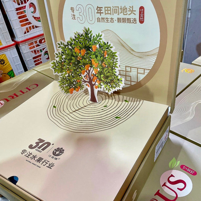 🍊✨ Premium Chinese Kimpin  Mandarin “Cunjindi Kampyo” Citrus ✨🍊 3Kg Premium Gift Box