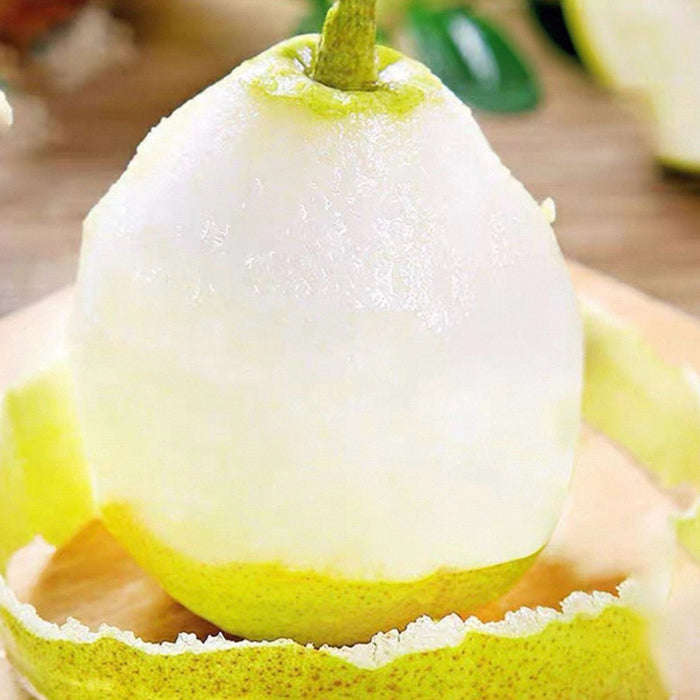 Fresh Premium 玉の貴妃 Pears – Crisp, Juicy & Naturally Sweet (10ct/3Kg)