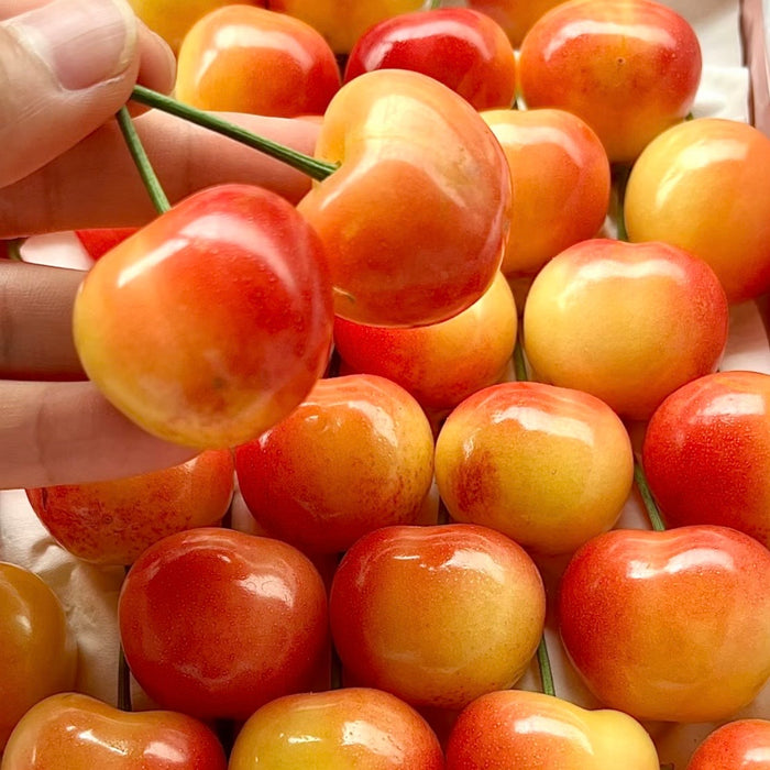 California Rainier Fresh Cherries (9.5R)🍒✨ 1Kg/5Kg