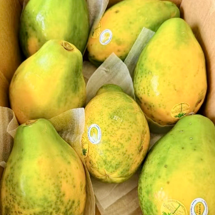 Tree-Ripened Premium  HAWAII Papaya – Air-Flown Fresh  (10 lbs)