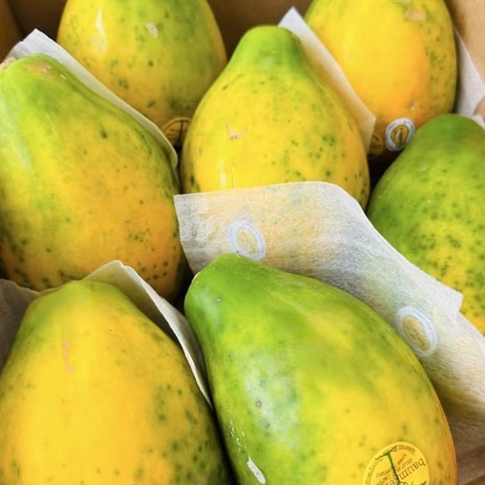 Tree-Ripened Premium  HAWAII Papaya – Air-Flown Fresh  (10 lbs)