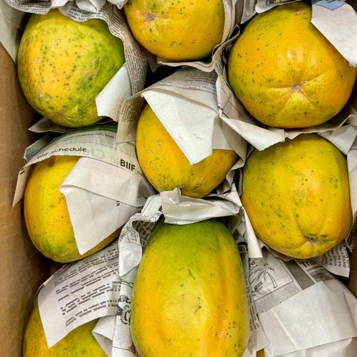 Tree-Ripened Premium  HAWAII Papaya – Air-Flown Fresh  (10 lbs)