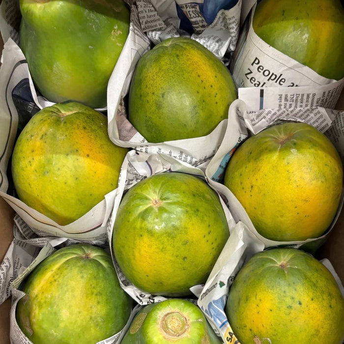 Tree-Ripened Premium  HAWAII Papaya – Air-Flown Fresh  (10 lbs)