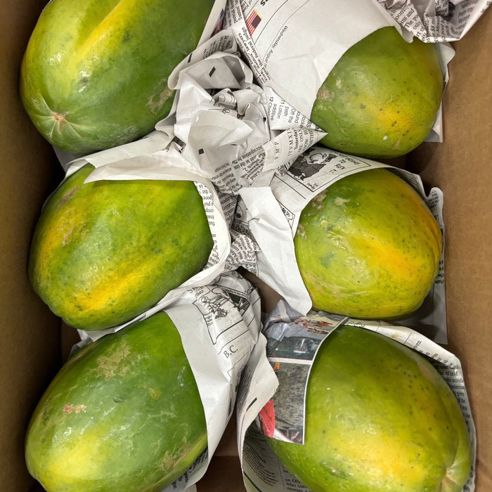 Tree-Ripened Premium  HAWAII Papaya – Air-Flown Fresh  (10 lbs)