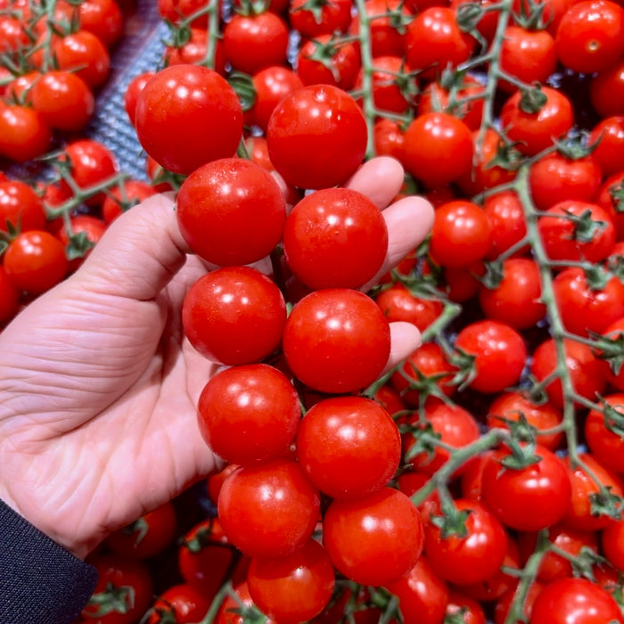 BC Local Cherry Tomatoes – Sweet, Juicy & Farm Fresh