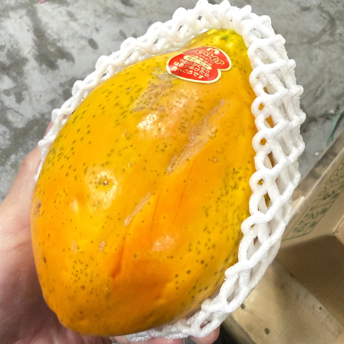 Miyazaki Japanese Papaya (宮崎パパイヤ)（2/3ct/Box）