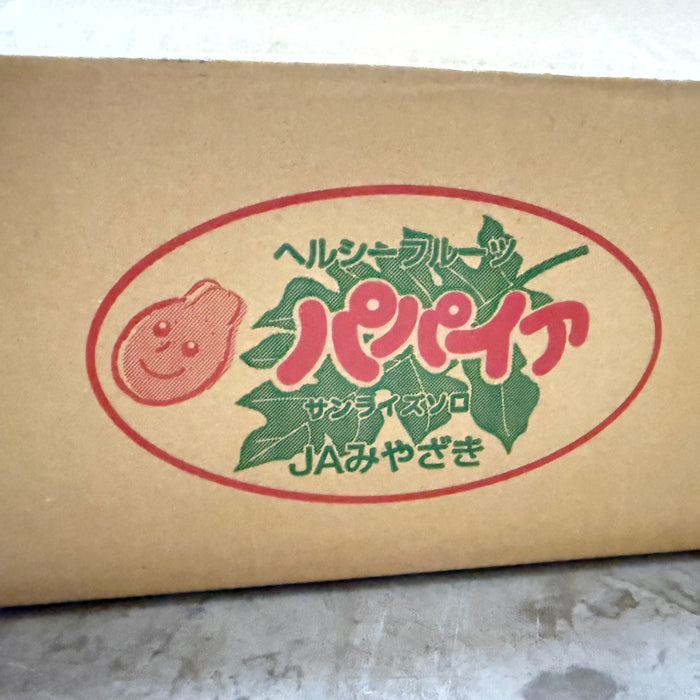 Miyazaki Japanese Papaya (宮崎パパイヤ)（2/3ct/Box）
