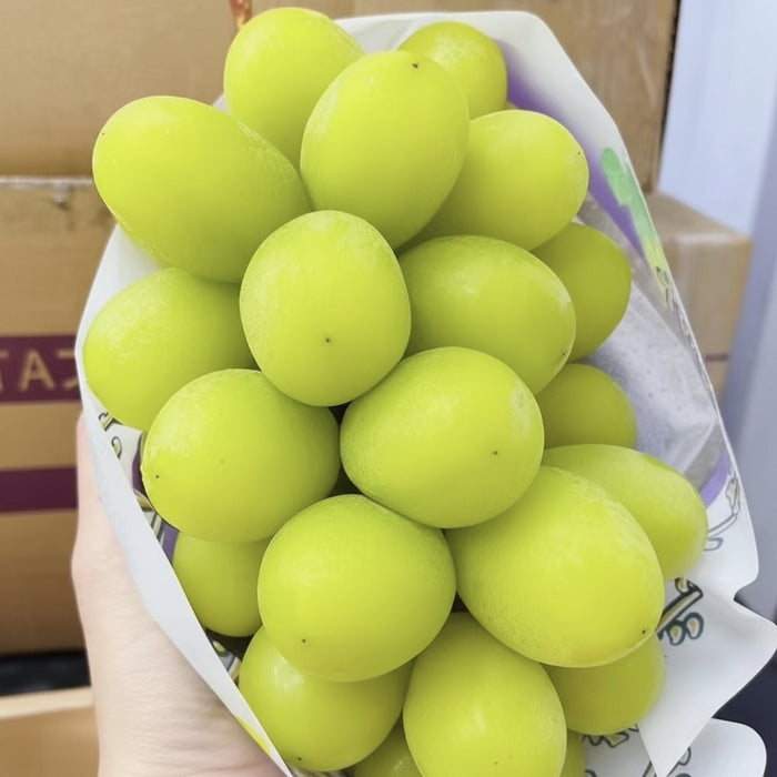 Japanese Premium Shine Muscat Grapes 🍇🇯🇵 3Kg & 10x350g
