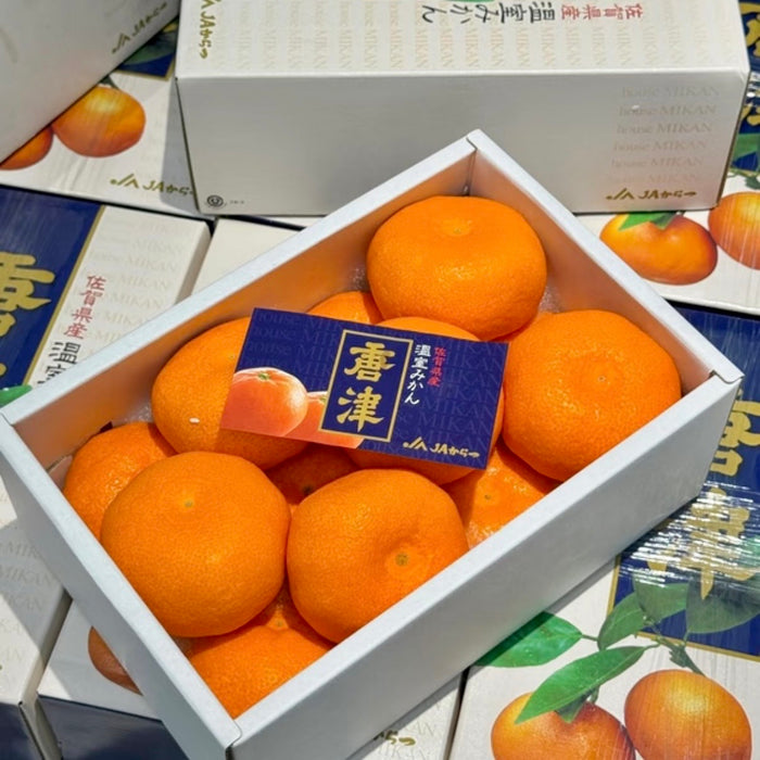 🍊 🇯🇵 Premium Japanese Greenhouse Mikan | Sweet & Juicy Japanese Citrus