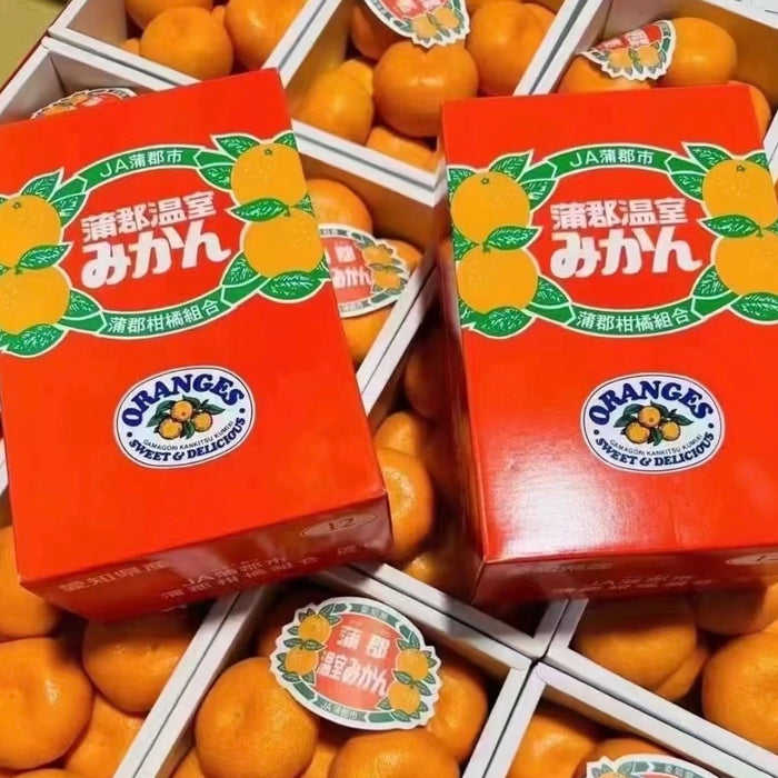 🍊 🇯🇵 Premium Japanese Greenhouse Mikan | Sweet & Juicy Japanese Citrus