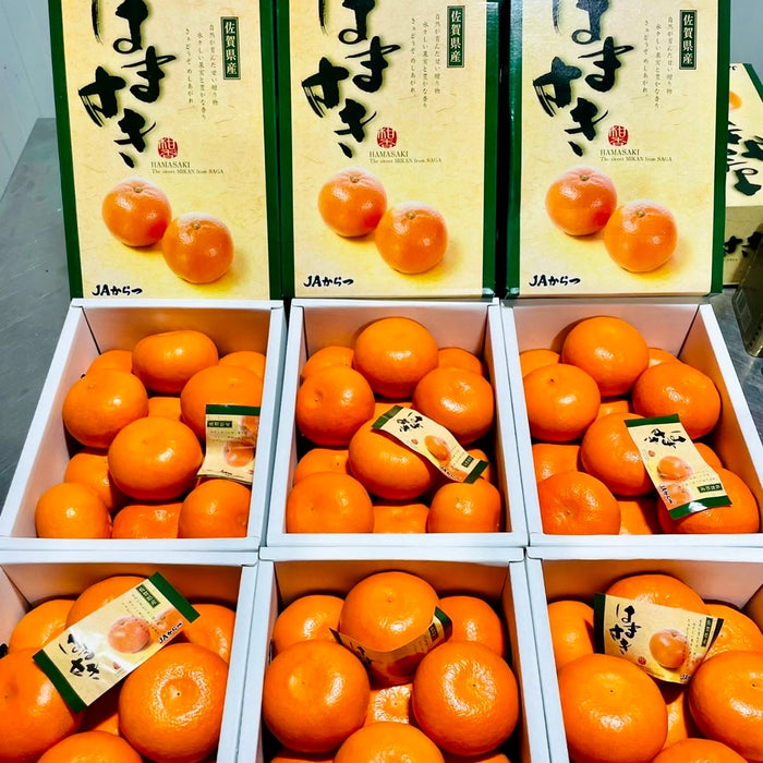 🍊 🇯🇵 Premium Japanese Greenhouse Mikan | Sweet & Juicy Japanese Citrus