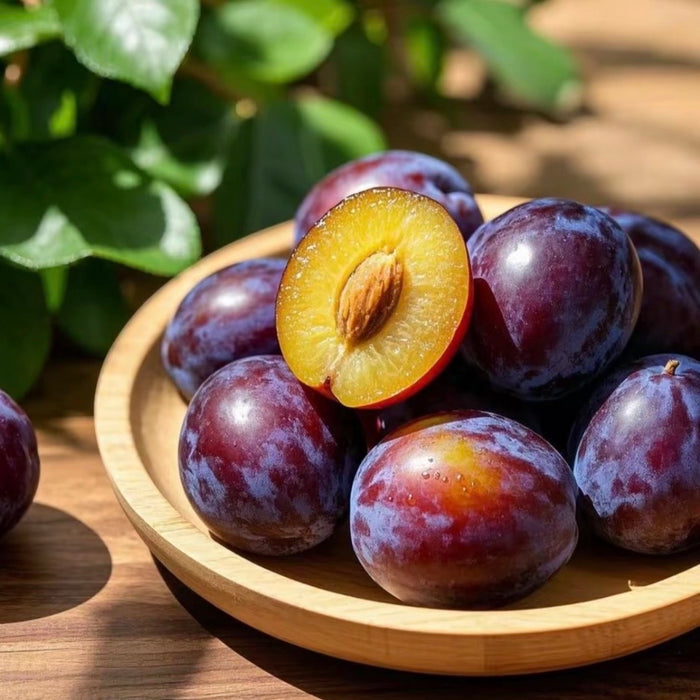 BC Local French Plums