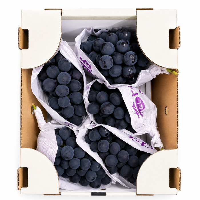 Japan’s Famous Kyoho Grapes Are Here! 🍇🇯🇵 3Kg & 10x300g