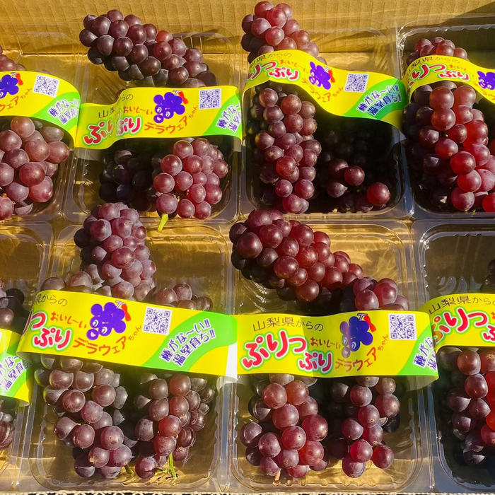 🍇 Japanese Delaware Grapes 🇯🇵 温室デラウェア 300g/Tray