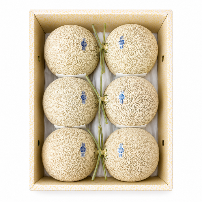 Japan Air-Flown Premium Fruit Shizuoka Crown Melon クラウンメロン 静岗温室