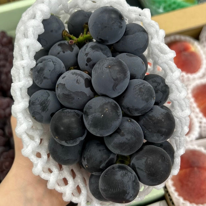 Japan’s Famous Kyoho Grapes Are Here! 🍇🇯🇵 3Kg & 10x300g
