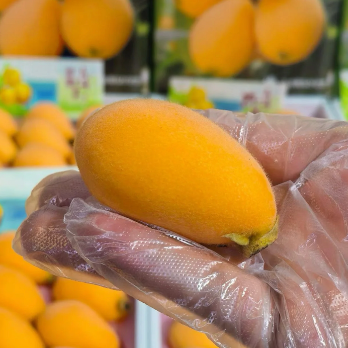 Japan Premium Nagasaki Biwa Loquat – 長崎びわ (250g/Tray)