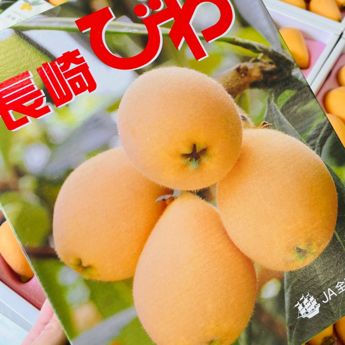 Japan Premium Nagasaki Biwa Loquat – 長崎びわ (250g/Tray)