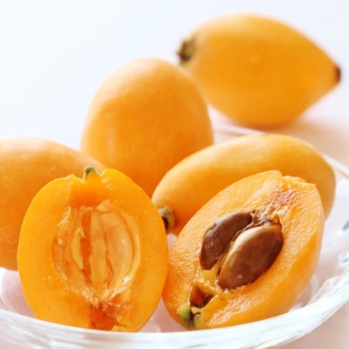 Japan Premium Nagasaki Biwa Loquat – 長崎びわ (250g/Tray)