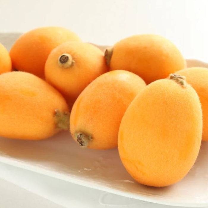 Japan Premium Nagasaki Biwa Loquat – 長崎びわ (250g/Tray)