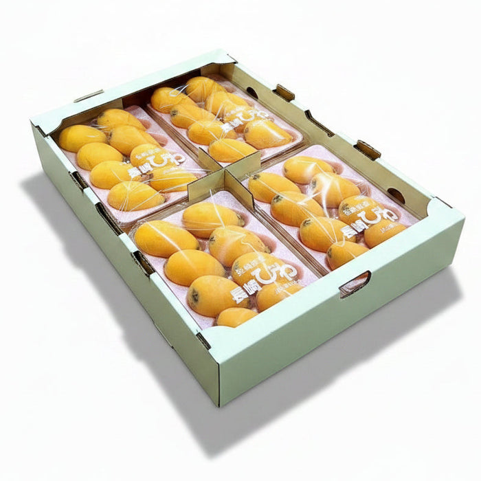 Japan Premium Nagasaki Biwa Loquat – 長崎びわ (250g/Tray)