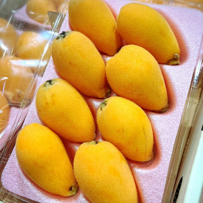 Japan Premium Nagasaki Biwa Loquat – 長崎びわ (250g/Tray)