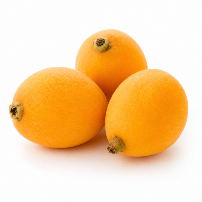 Japan Premium Nagasaki Biwa Loquat – 長崎びわ (250g/Tray)