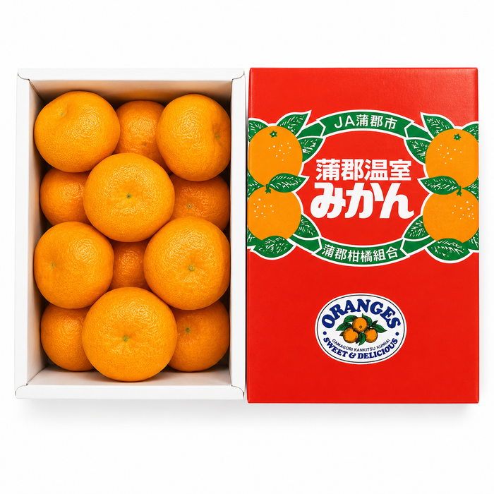 🍊 Japanese Mikan Mandarin 愛知県産 蒲郡温室みかん  1.2Kg