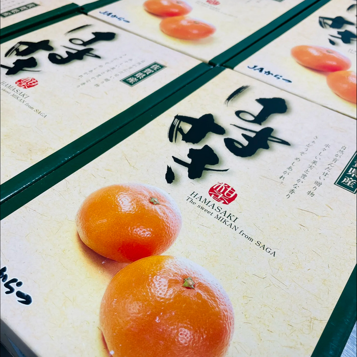 Japan Saga 濱崎みかん (Hamasaki Mikan Unshu) – Premium Sweet Citrus Gift Box ギフト箱 (L Size 3Kg 10CT)