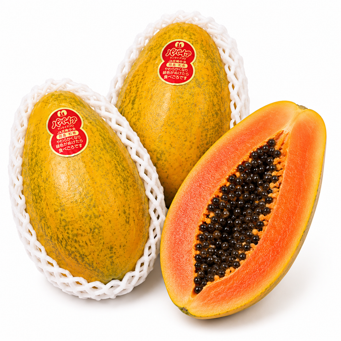 Miyazaki Japanese Papaya (宮崎パパイヤ)（2/3ct/Box）