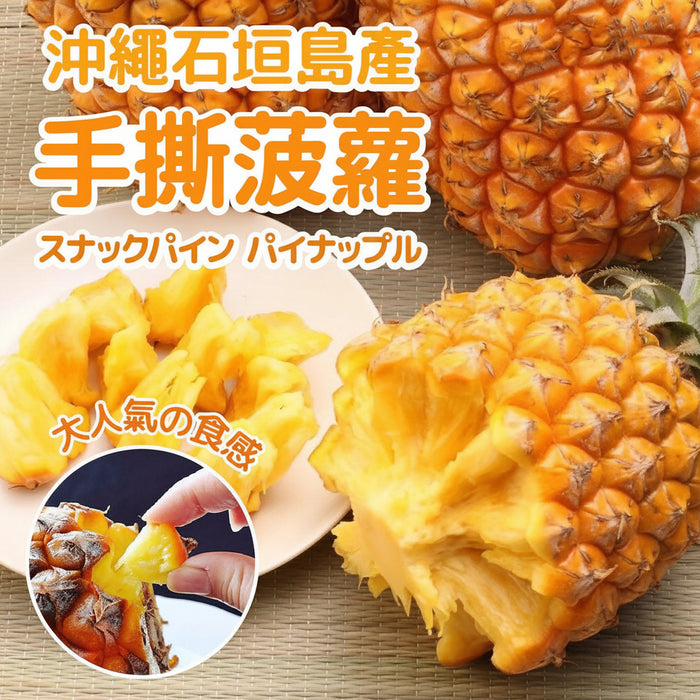 🍍 Okinawa Snack Peach Pineapple 沖縄スナックパイン – Sweet, Juicy & Easy to Peel 🇯🇵