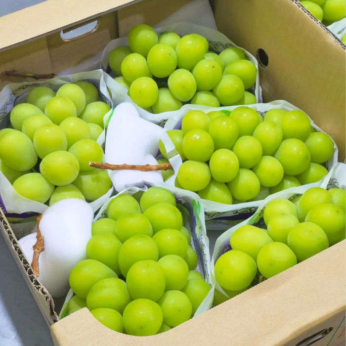 Japanese Premium Shine Muscat Grapes 🍇🇯🇵 3Kg & 10x350g