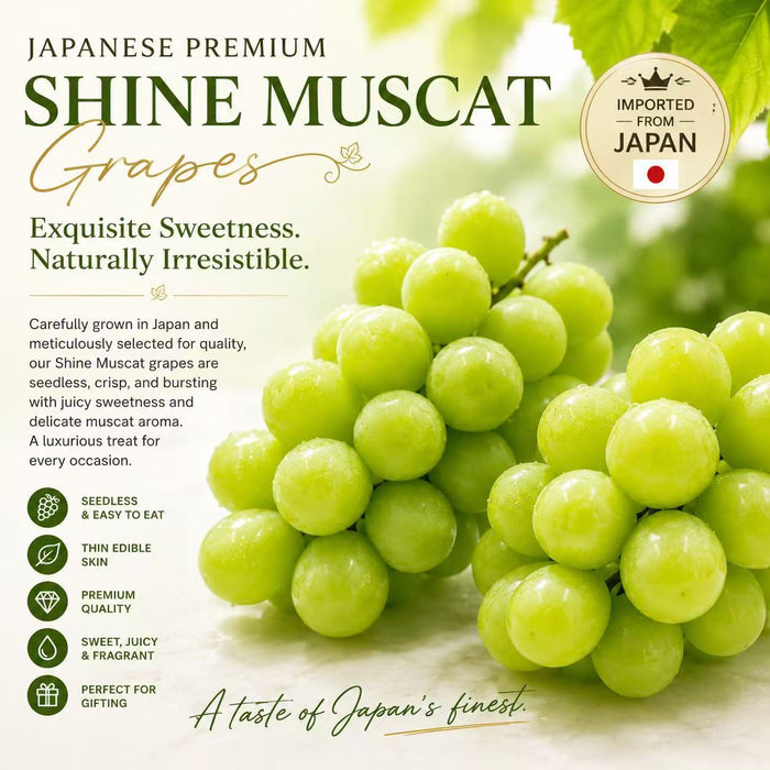 Japanese Premium Shine Muscat Grapes 🍇🇯🇵 3Kg & 10x350g