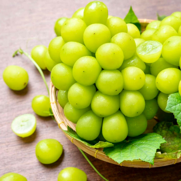 Japanese Premium Shine Muscat Grapes 🍇🇯🇵 3Kg & 10x350g