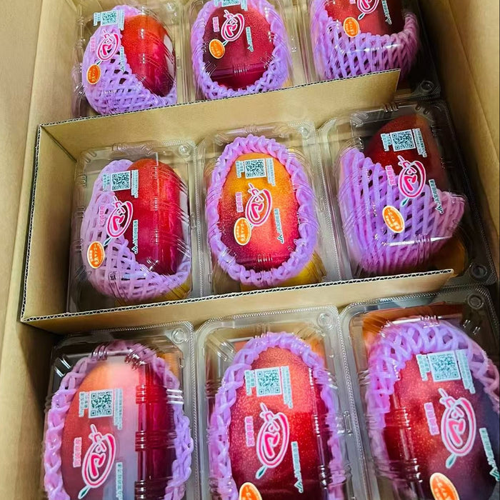 ☀️ The Legendary “Sun Egg-太阳のタマゴ” Mango from Japan