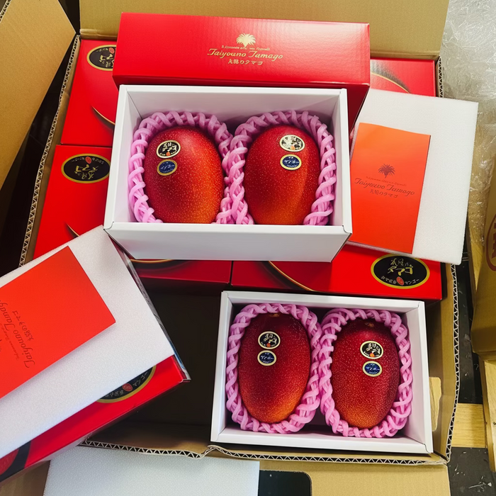 ☀️ The Legendary “Sun Egg-太阳のタマゴ” Mango from Japan