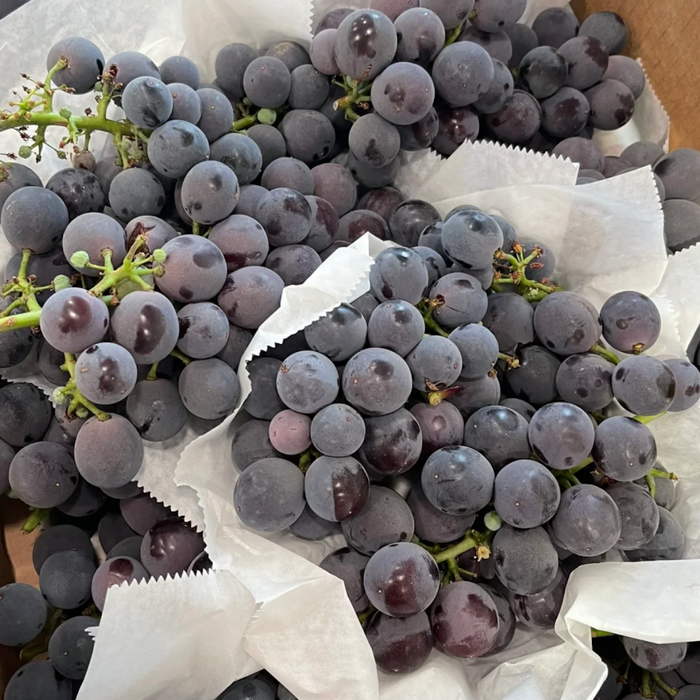 🇺🇸California Greenhouse Black Vine Kyoho Grapes 6X3 lbs/Box