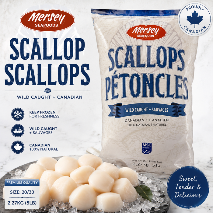 🇨🇦 Canadian Wild Scallops – Locally Processed Frozen fresh.