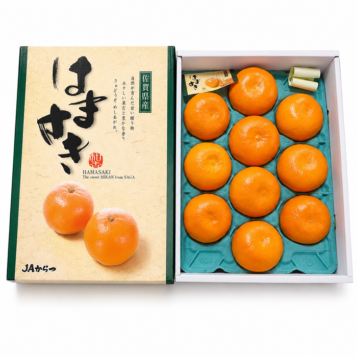 Japan Saga 濱崎みかん (Hamasaki Mikan Unshu) – Premium Sweet Citrus Gift Box ギフト箱 (L Size 3Kg 10CT)