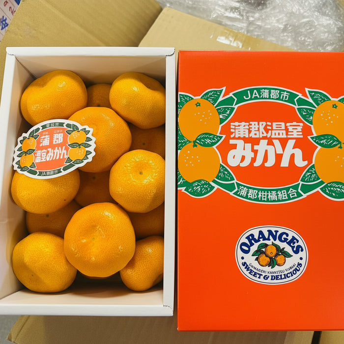 🍊 Japanese Mikan Mandarin 愛知県産 蒲郡温室みかん  1.2Kg