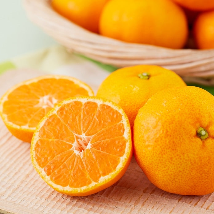 🍊 Japanese Mikan Mandarin 愛知県産 蒲郡温室みかん  1.2Kg